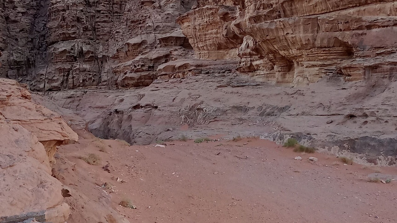 Photo of Others in Wadi Musa