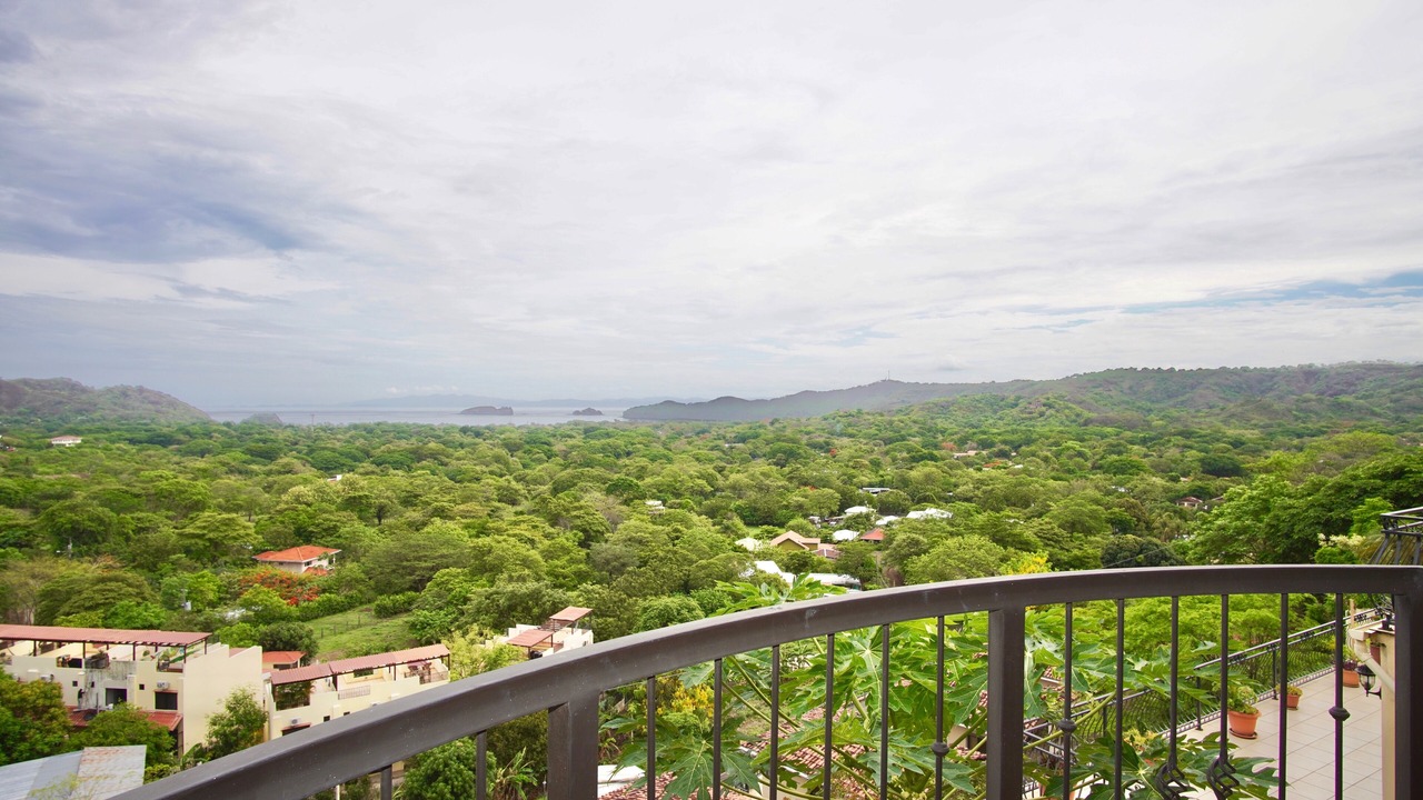 Photo of Outdoor in Coco