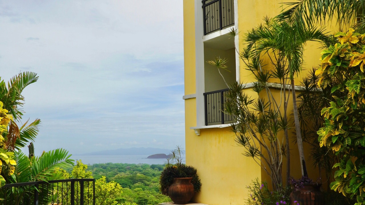 Photo of Outdoor in Coco