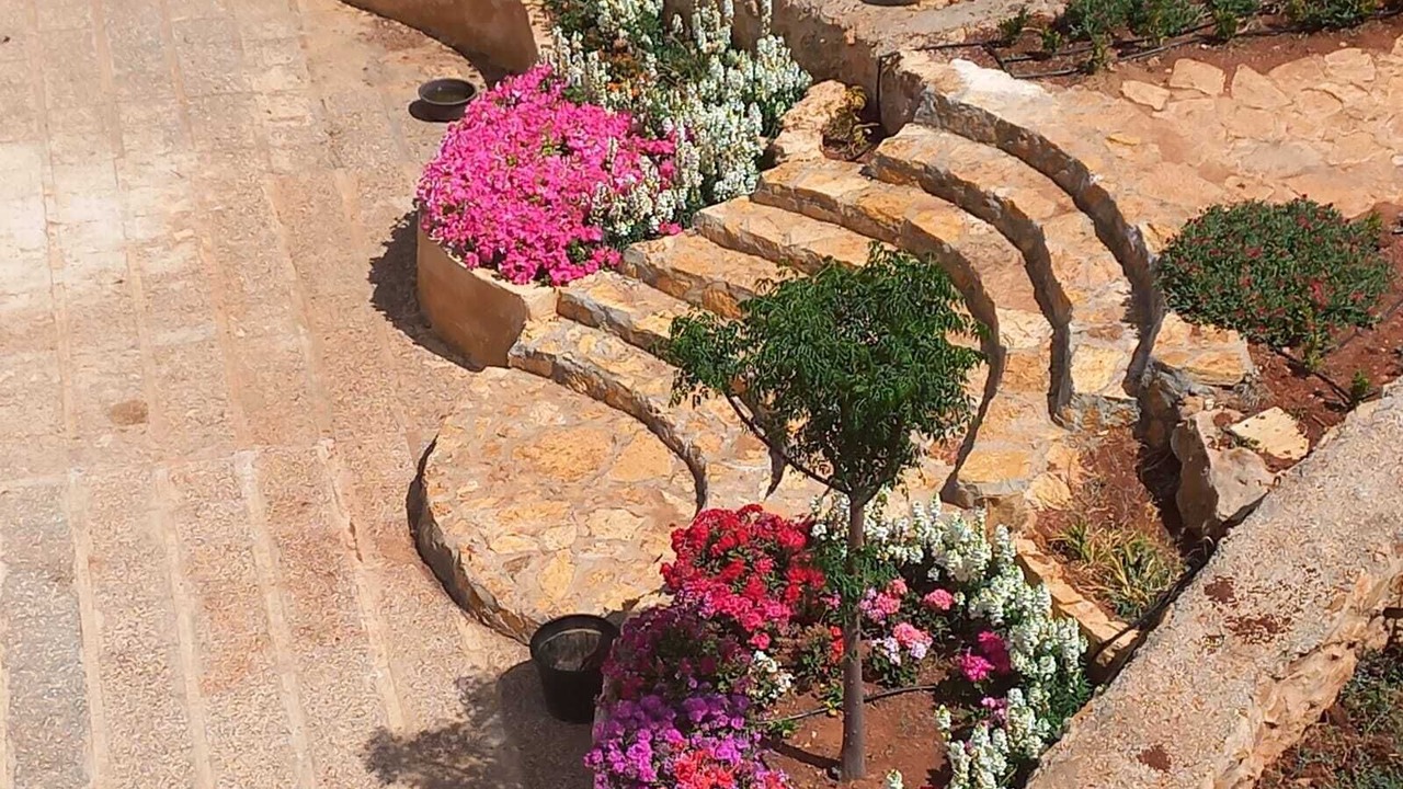 Photo of Outdoor in Suwailih