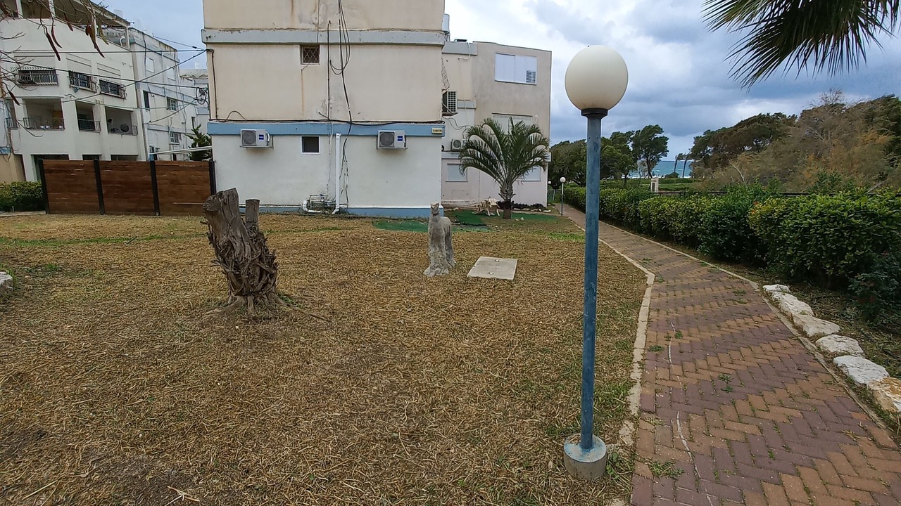Photo of Outdoor in Haifa