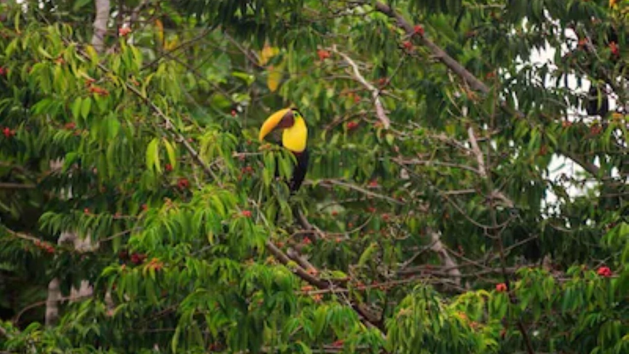 Photo of Outdoor in Ballena