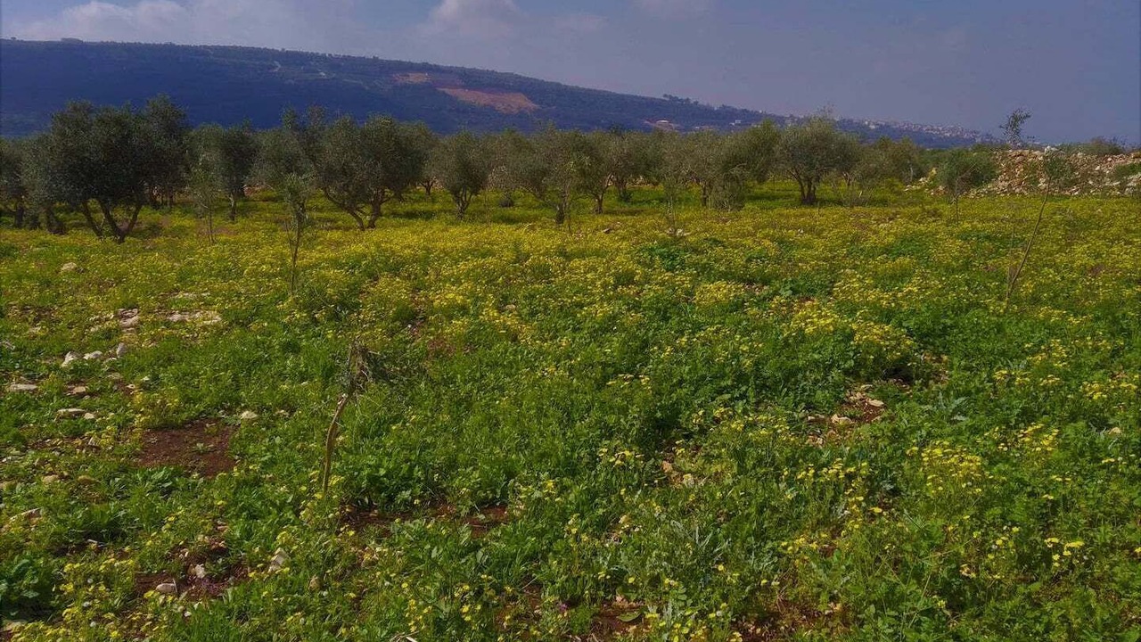 Photo of Outdoor in Gita