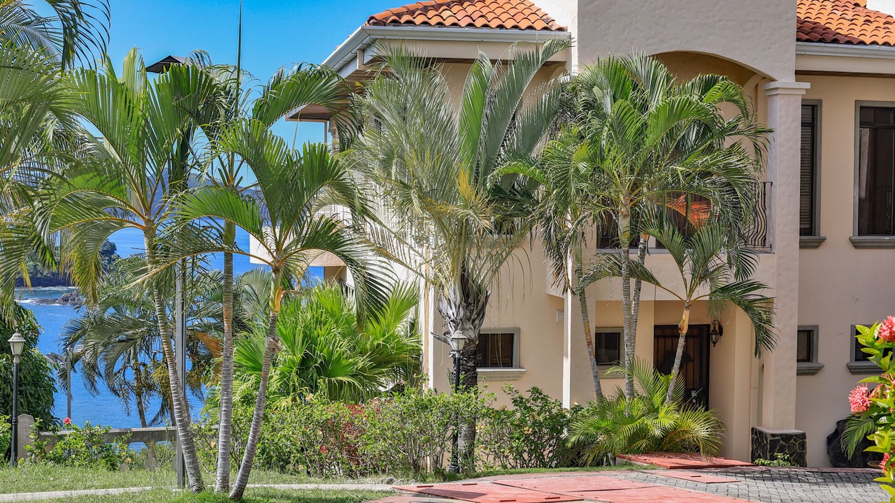 Photo of Outdoor in Playa Flamingo