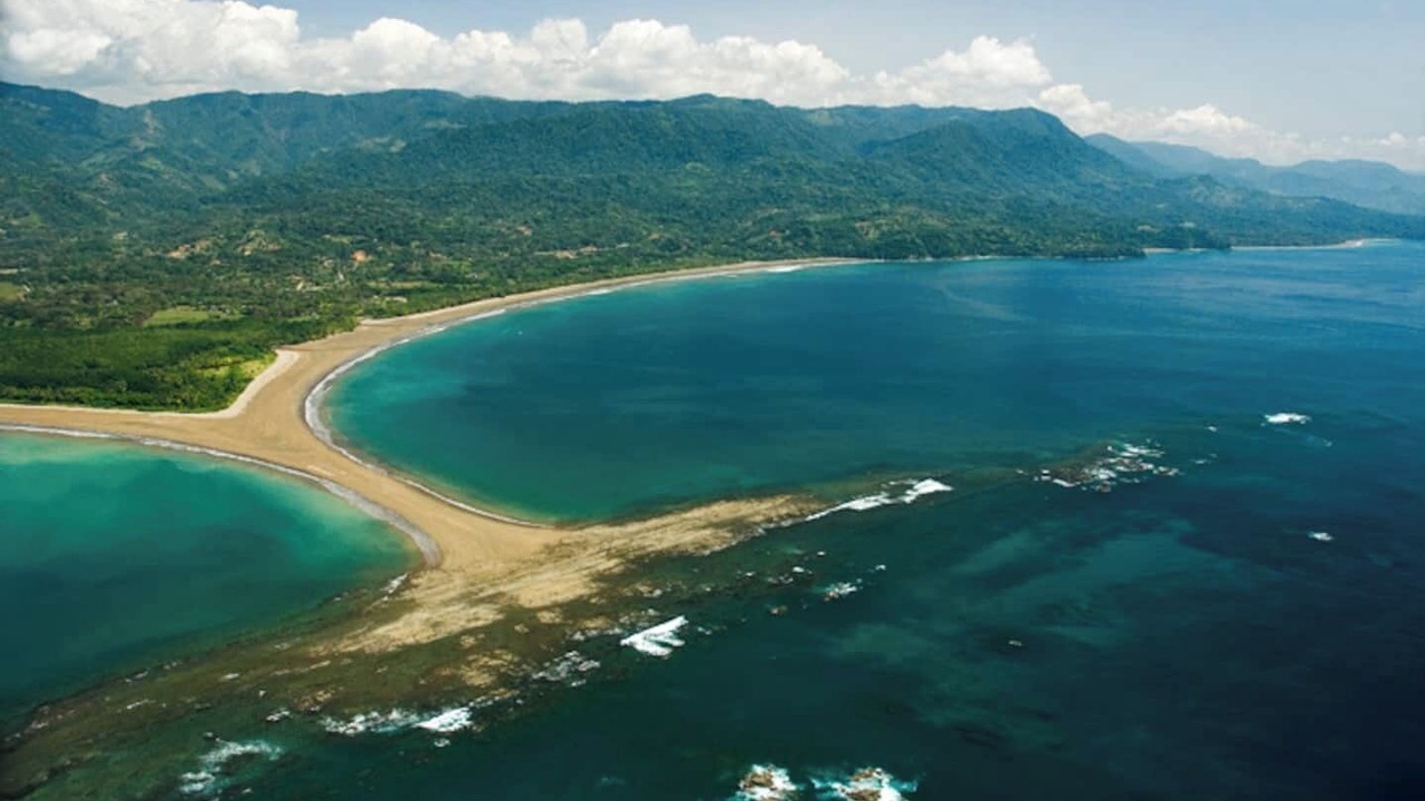 Photo of Others in Ballena