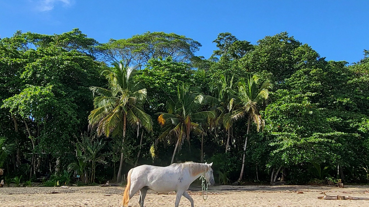 Photo of Outdoor in Manzanillo
