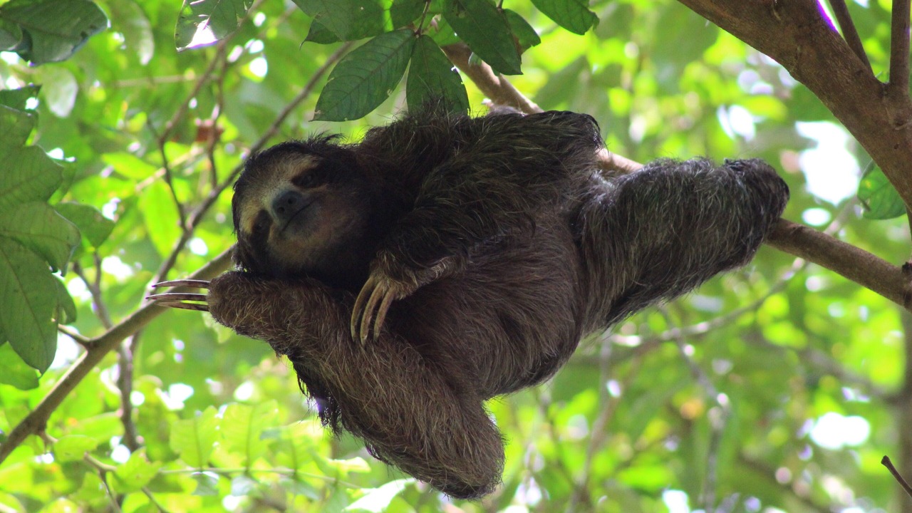 Photo of Others in Manzanillo