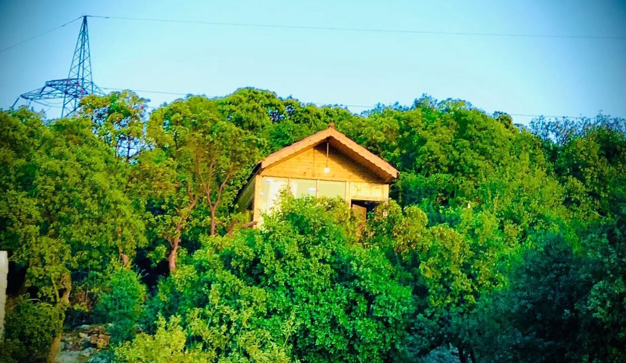 Photo of Outdoor in Ajloun