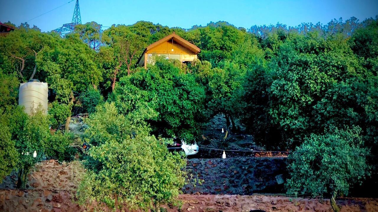Photo of Outdoor in Ajloun