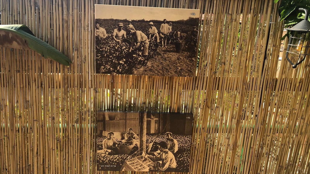 Photo of Outdoor in Bat Shlomo