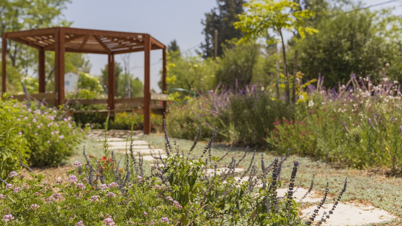 Photo of Outdoor in Tal Shahar