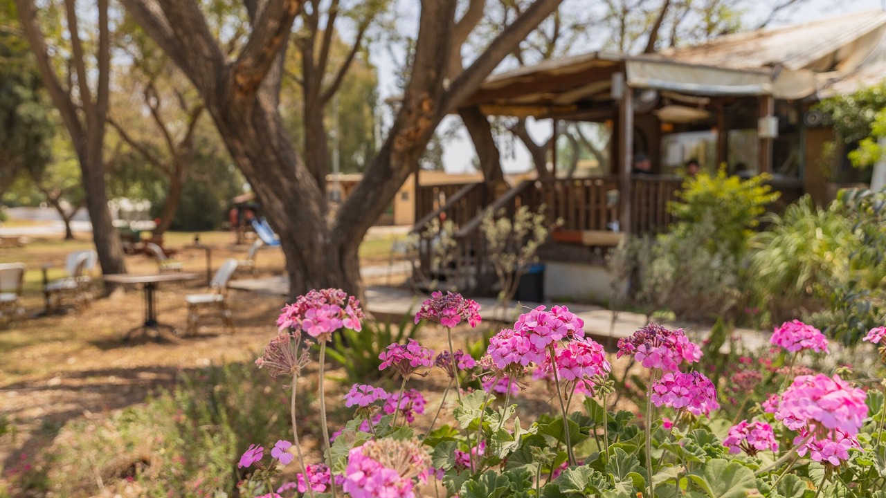 Photo of Outdoor in Tal Shahar
