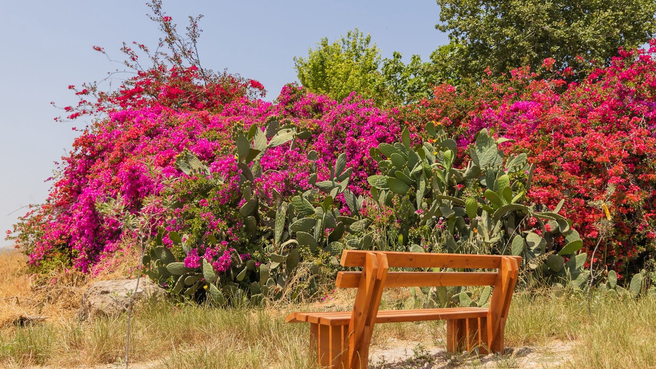Photo of Outdoor in Tal Shahar
