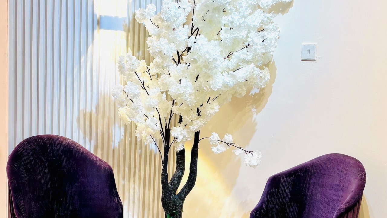 Photo of Others in Ajman
