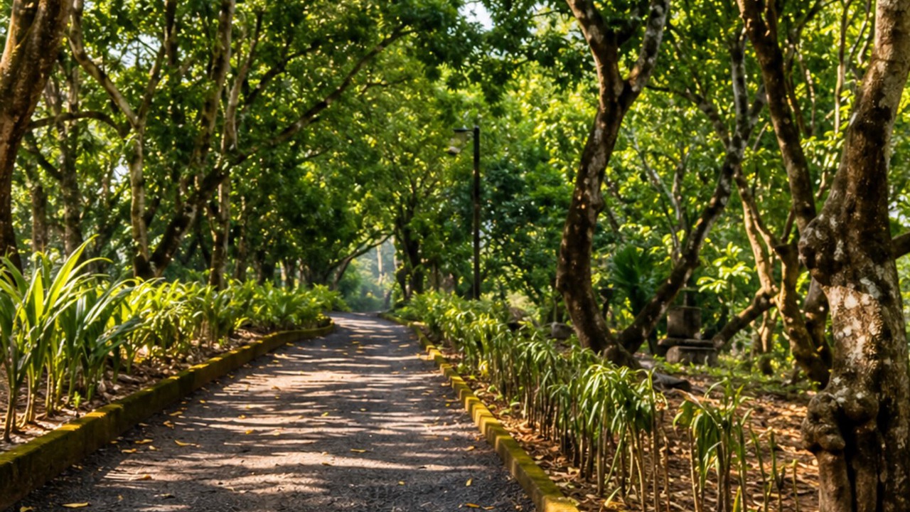 Photo of Others in Camaronal
