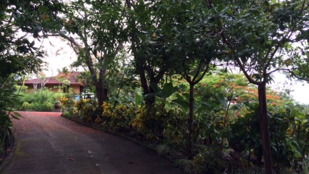 Photo of Outdoor in Camaronal
