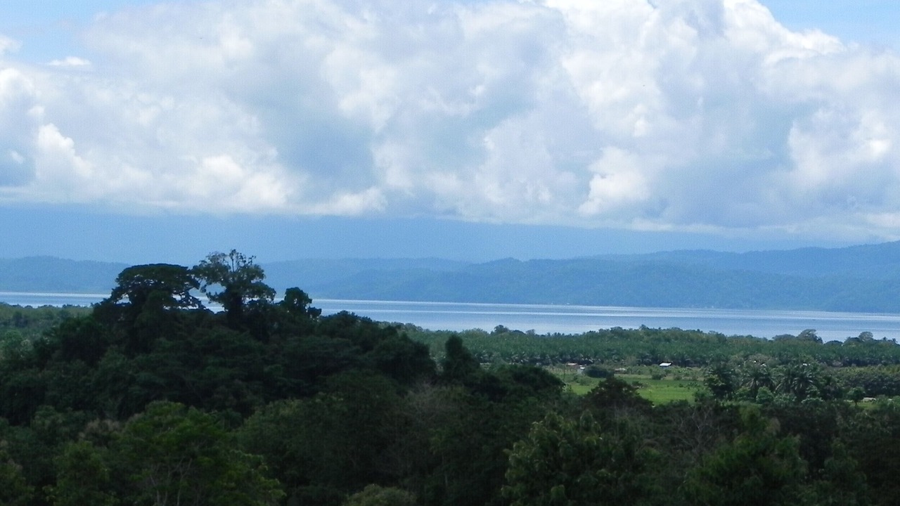 Photo of Others in Puerto Jimenez