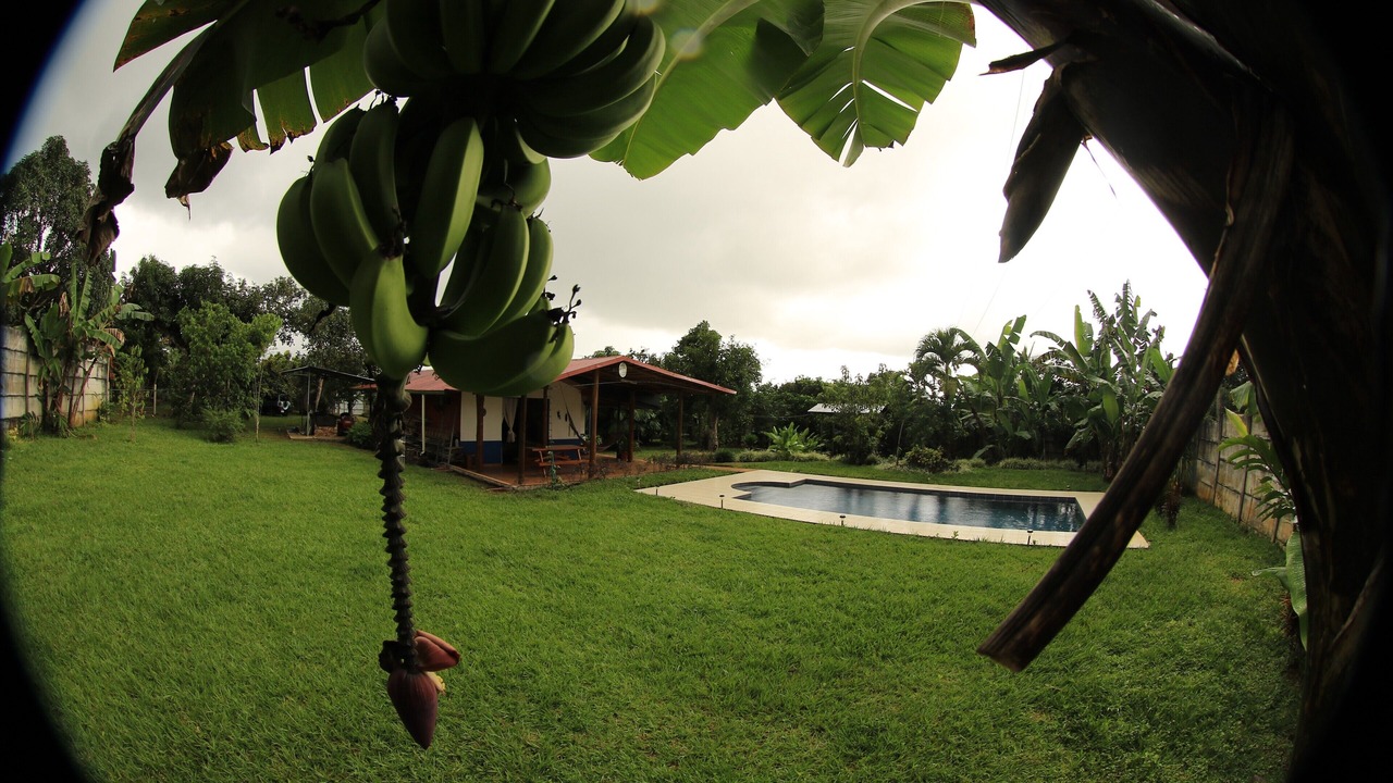 Photo of Outdoor in Daniel Flores
