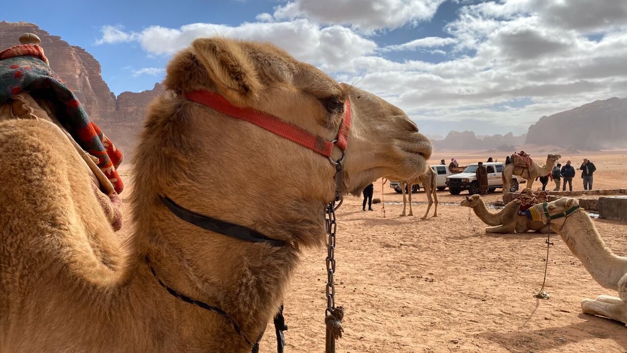 Photo of Others in Wadi Rum