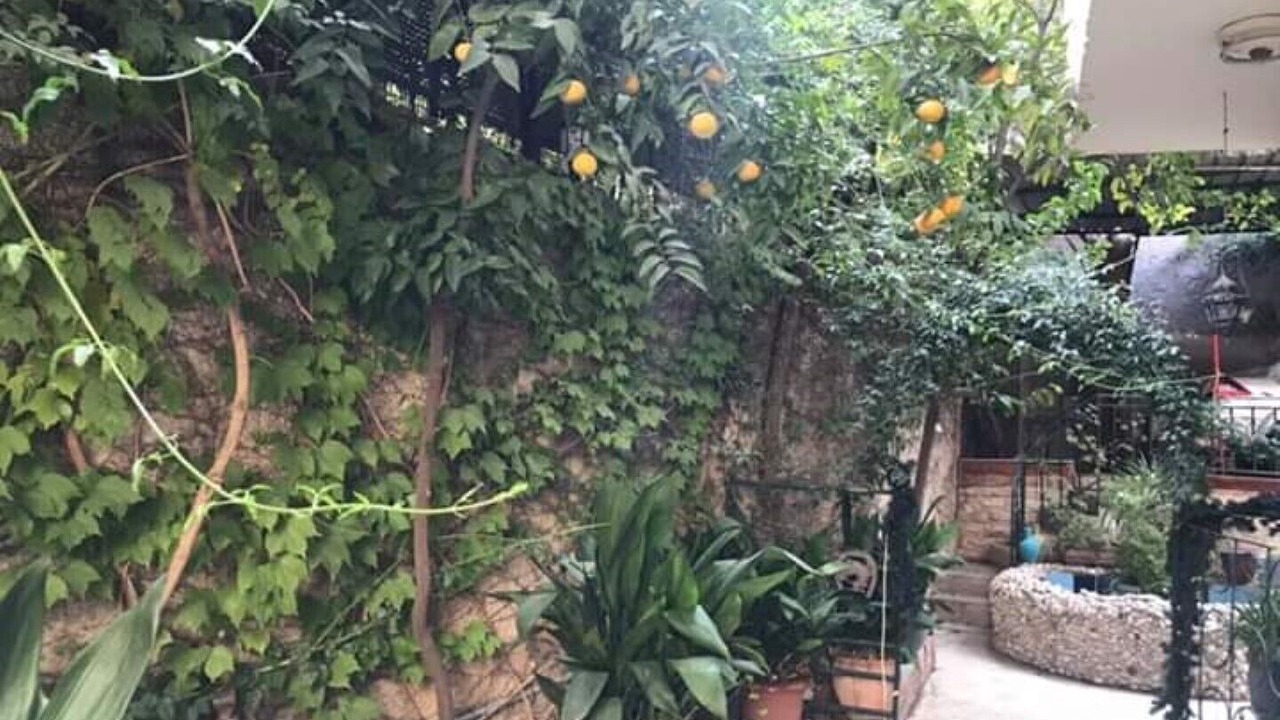 Photo of Outdoor in Amman