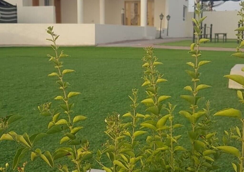 Photo of Outdoor in Jalan Bani Buhassan