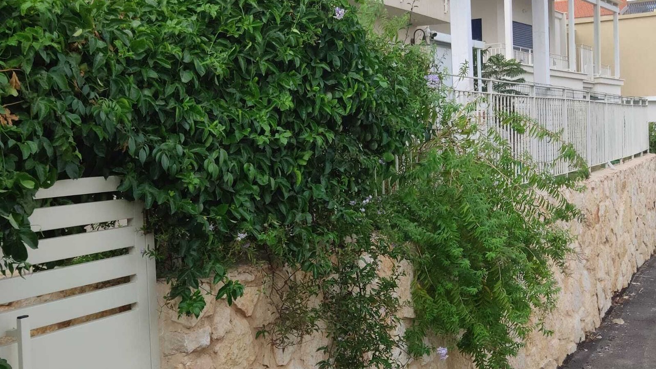 Photo of Outdoor in Emek Izrael