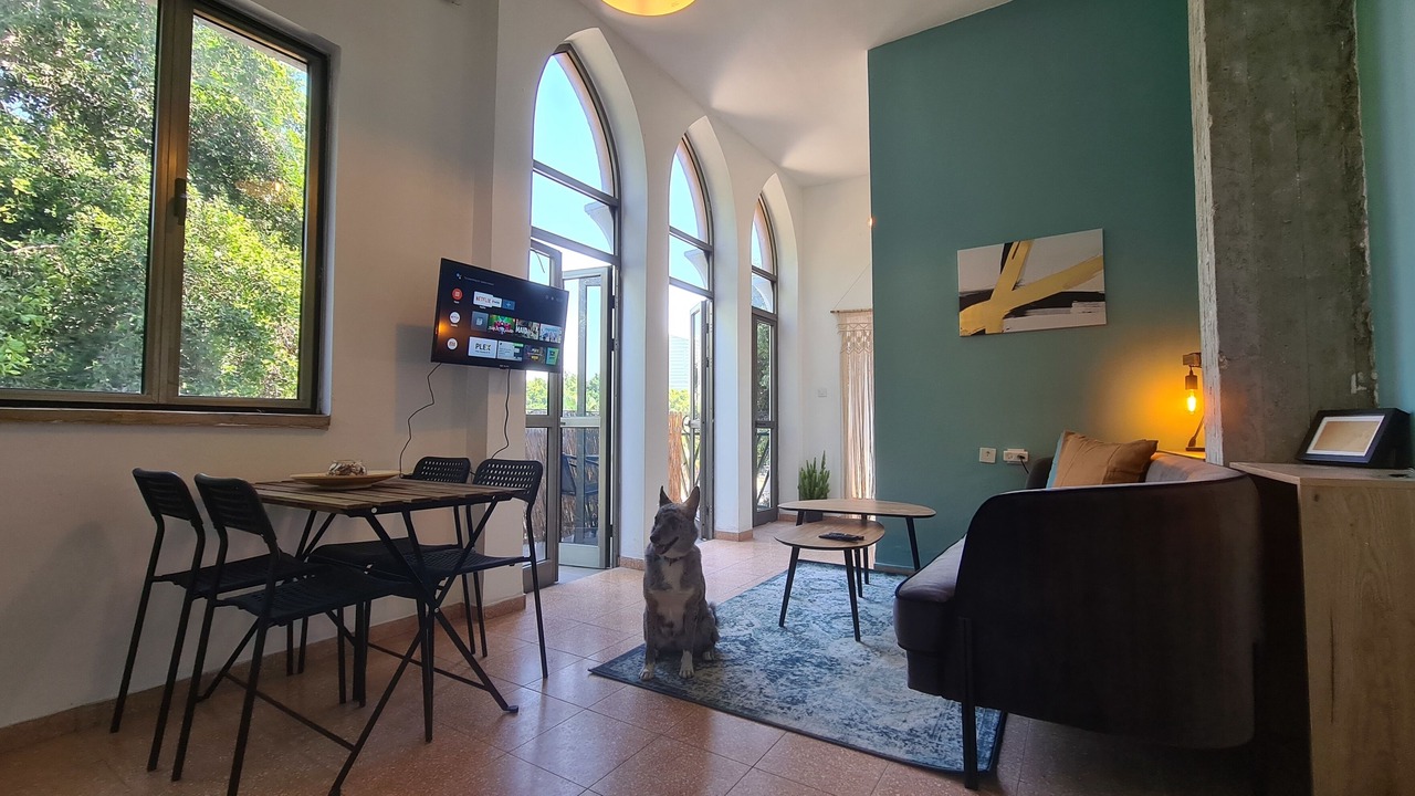 Photo of Livingroom in Jaffa