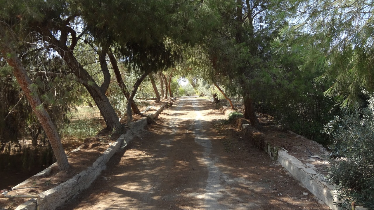 Photo of Outdoor in Azraq