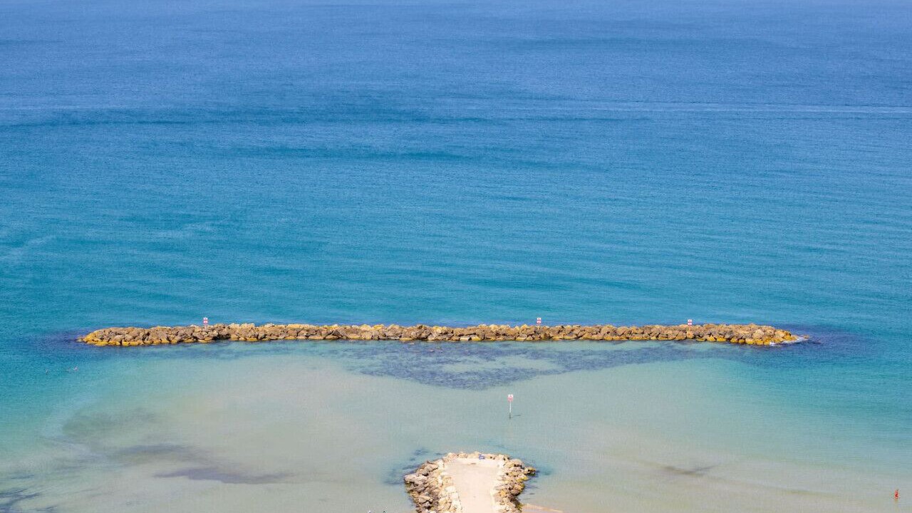 Photo of Others in Tel Aviv Promenade