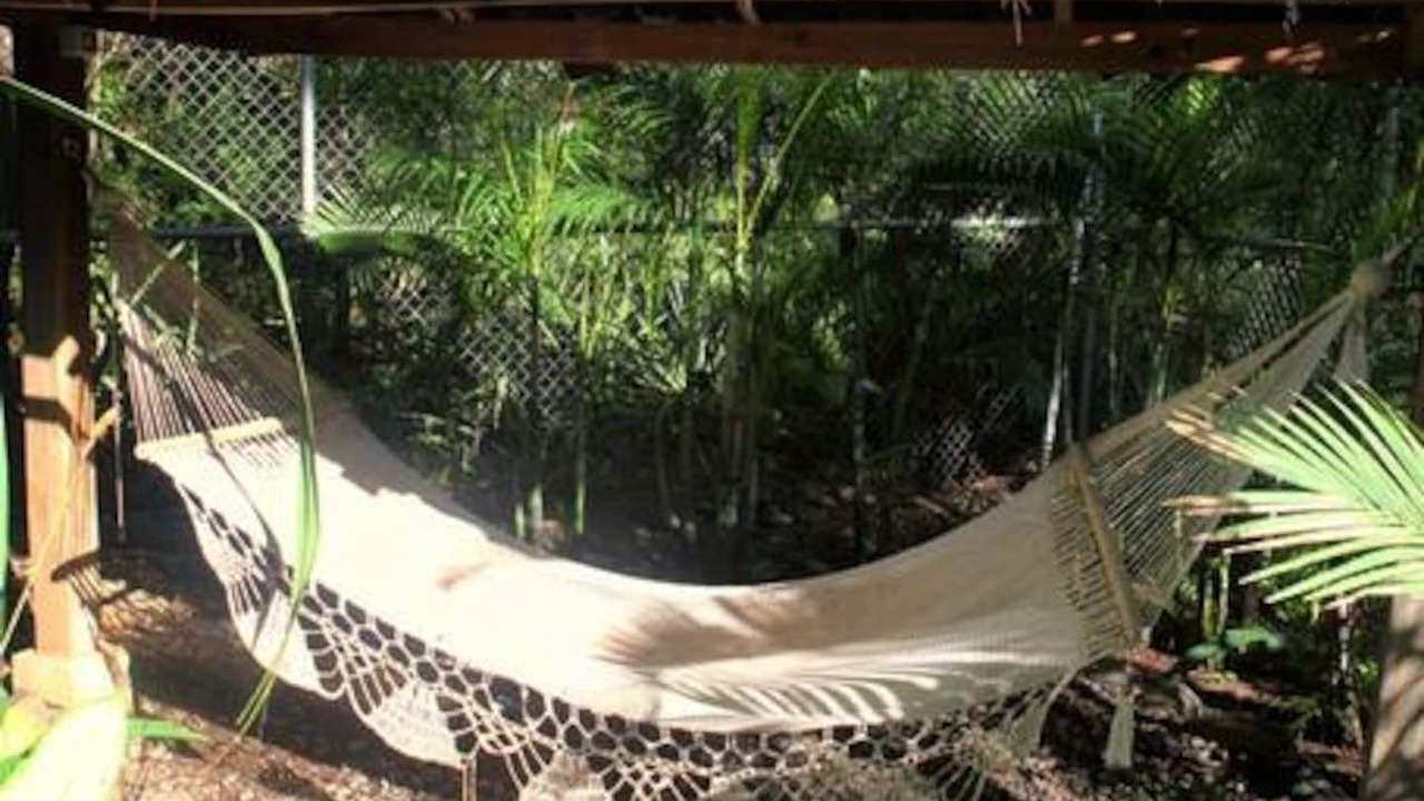 Photo of Others in Tamarindo