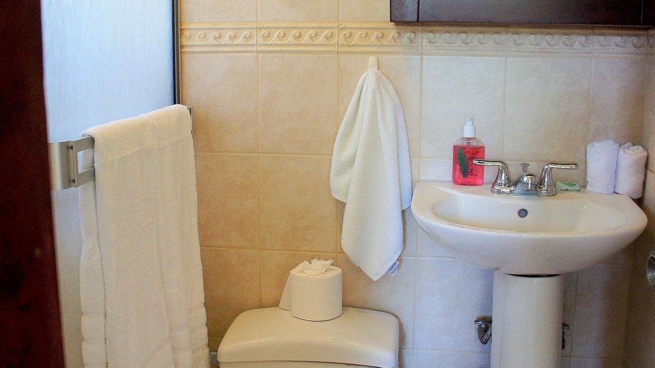 Photo of Bathroom in Junquillal