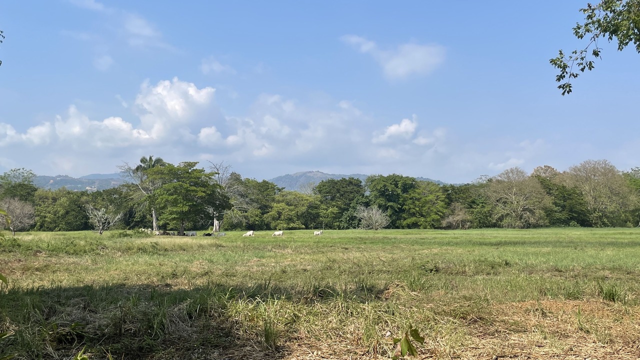 Photo of Others in Playa Hermosa