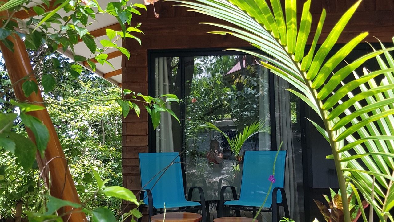 Photo of Patio Balcony in Pinilla