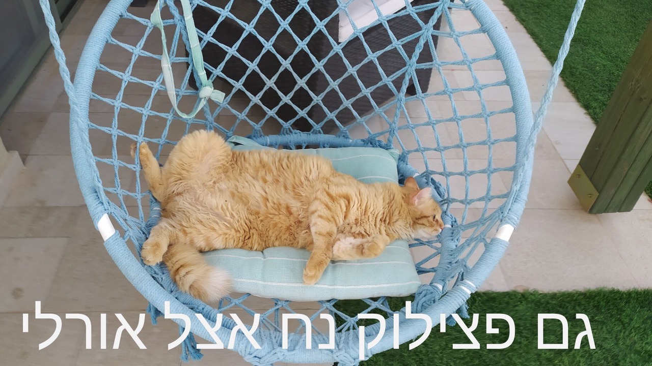 Photo of Others in Kfar Hoshen