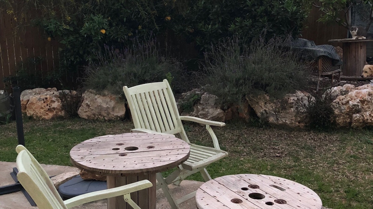 Photo of Outdoor in Givat Nili