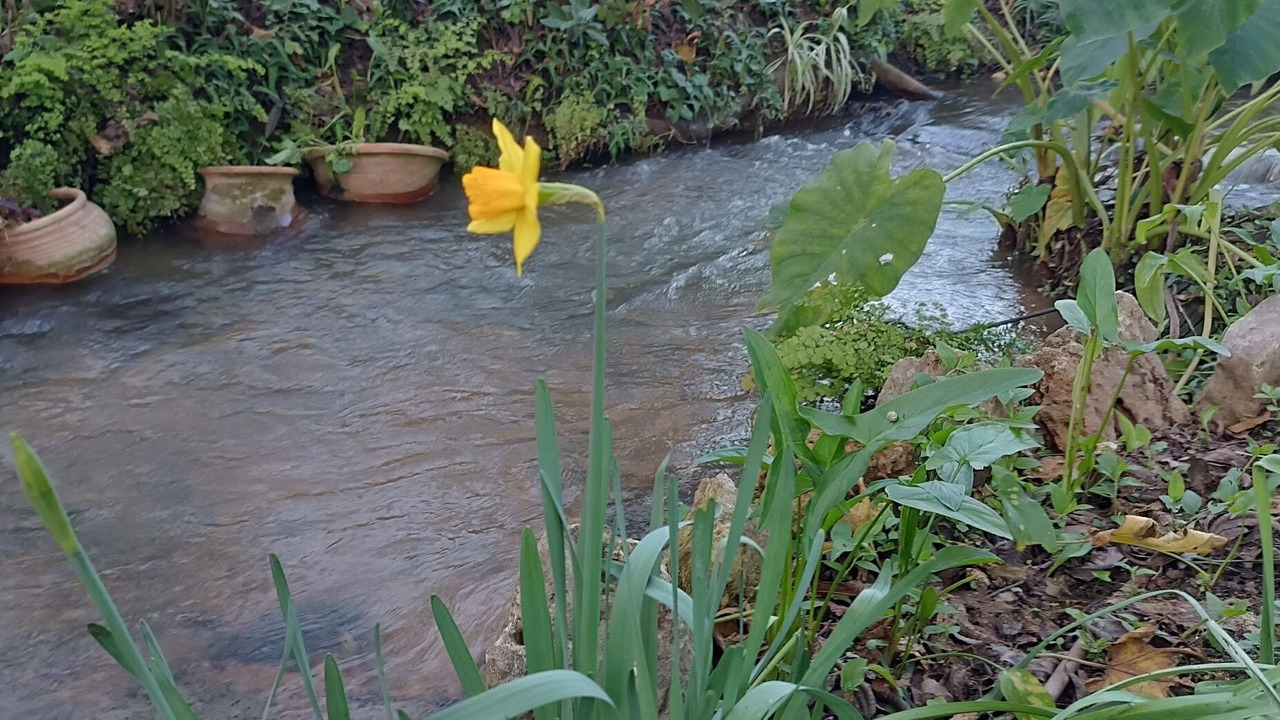 Photo of Outdoor in HaGoshrim