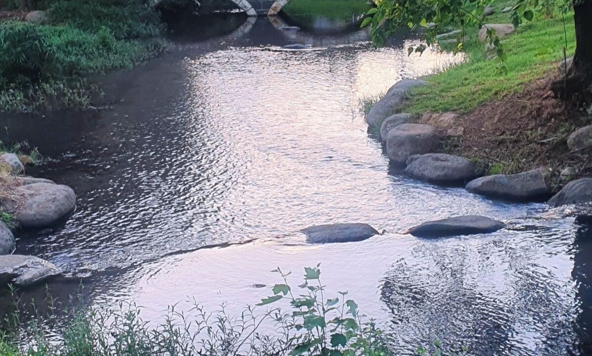 Photo of Outdoor in HaGoshrim