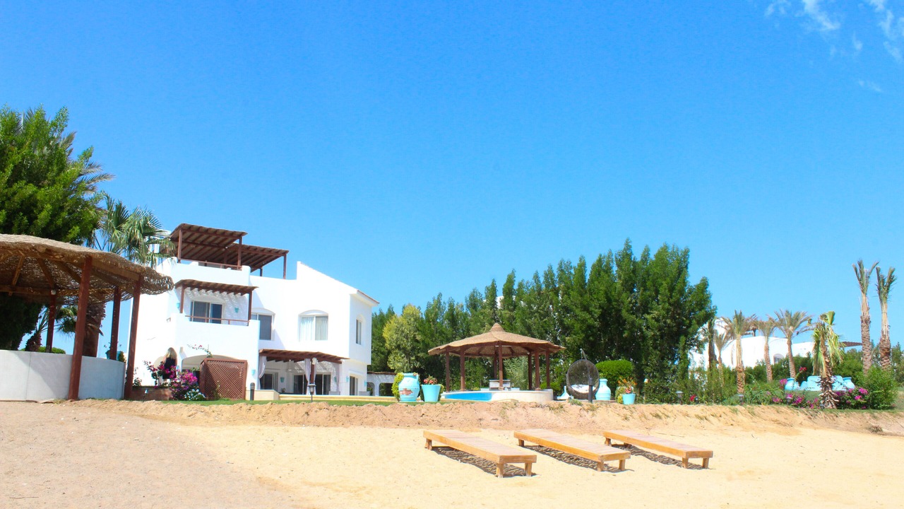 Photo of Others in Marsa Alam