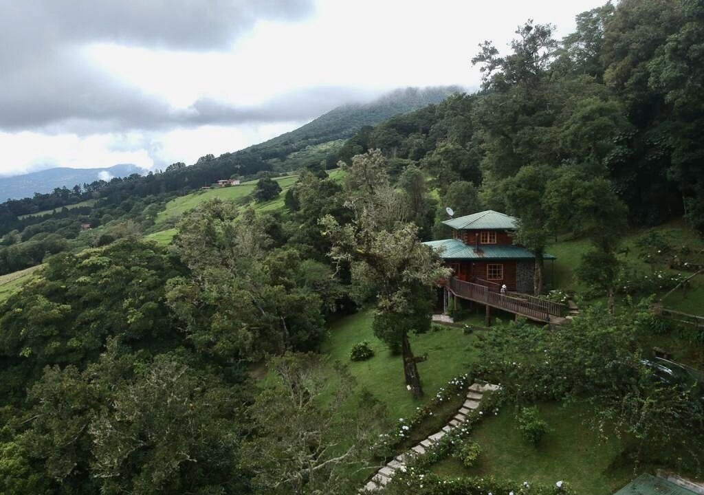 Photo of Outdoor in Roble
