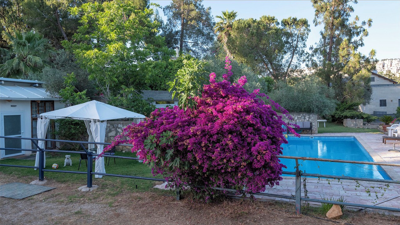 Photo of Outdoor in Mateh Yehuda
