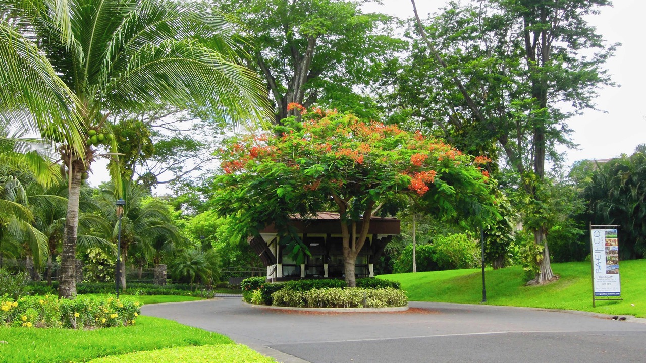 Photo of Outdoor in Coco