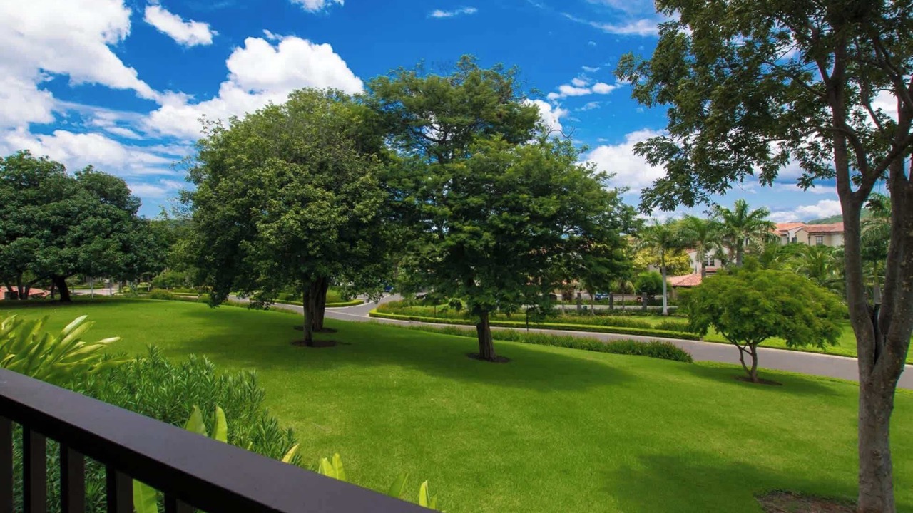 Photo of Outdoor in Coco