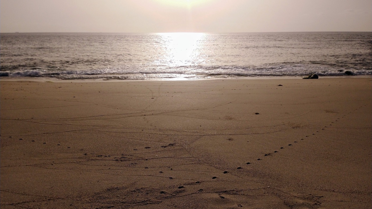 Photo of Others in Al Hadd