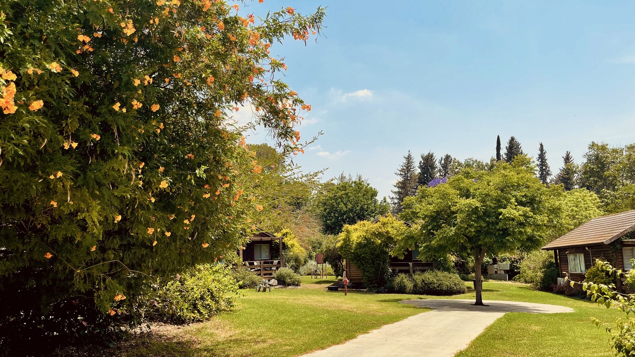 Photo of Outdoor in Lehavot HaBashan
