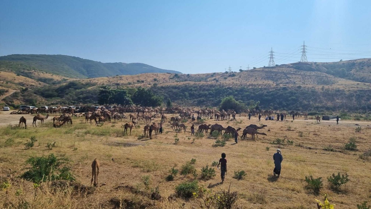 Photo of Outdoor in Salalah