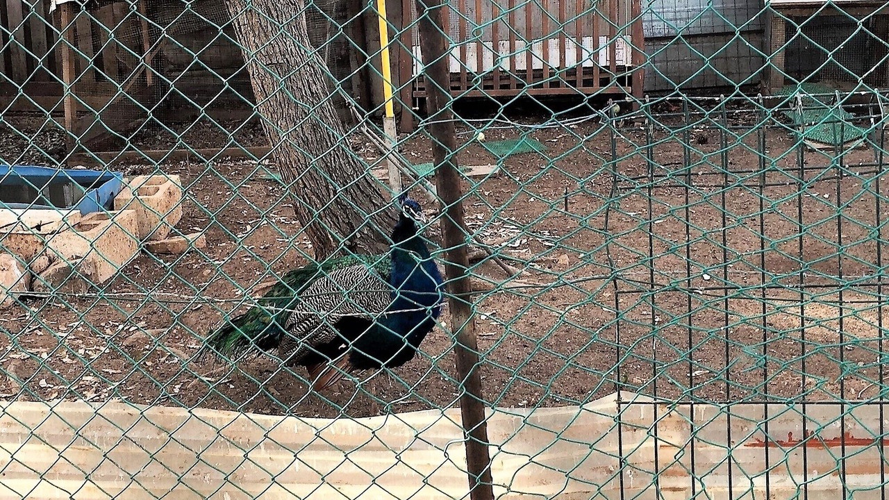 Photo of Others in Atlit