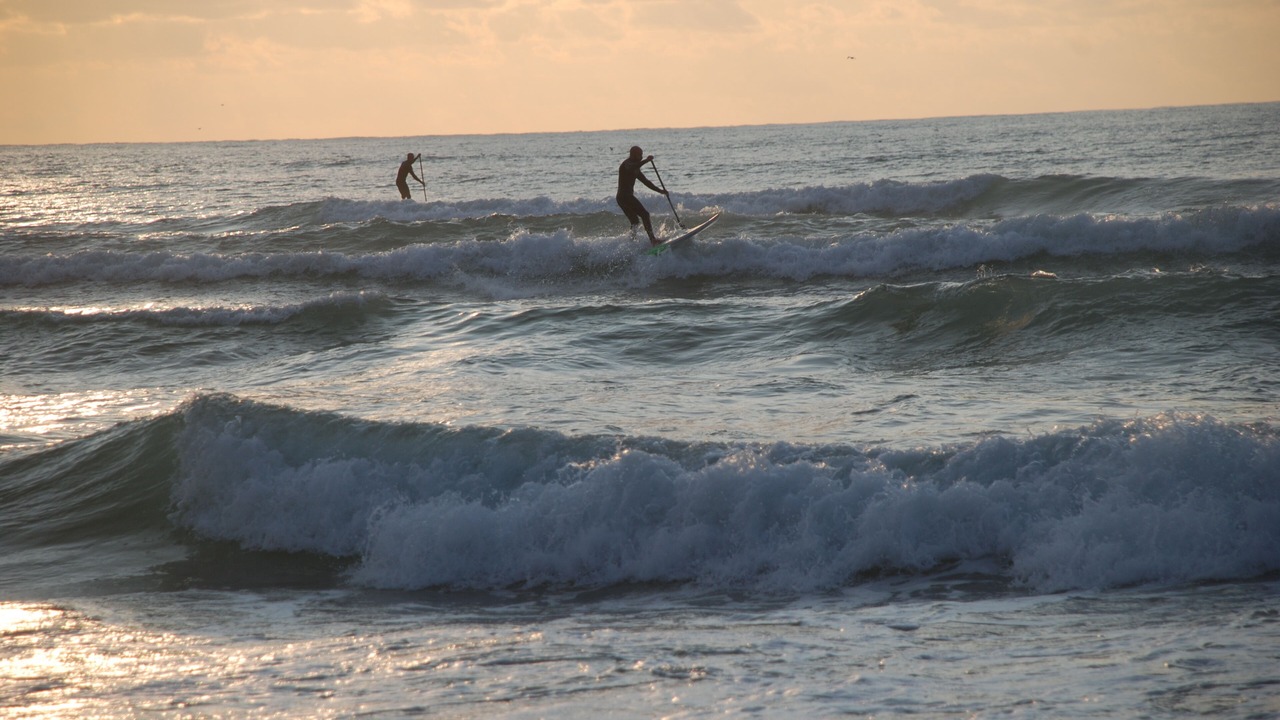 Photo of Others in Herzliya