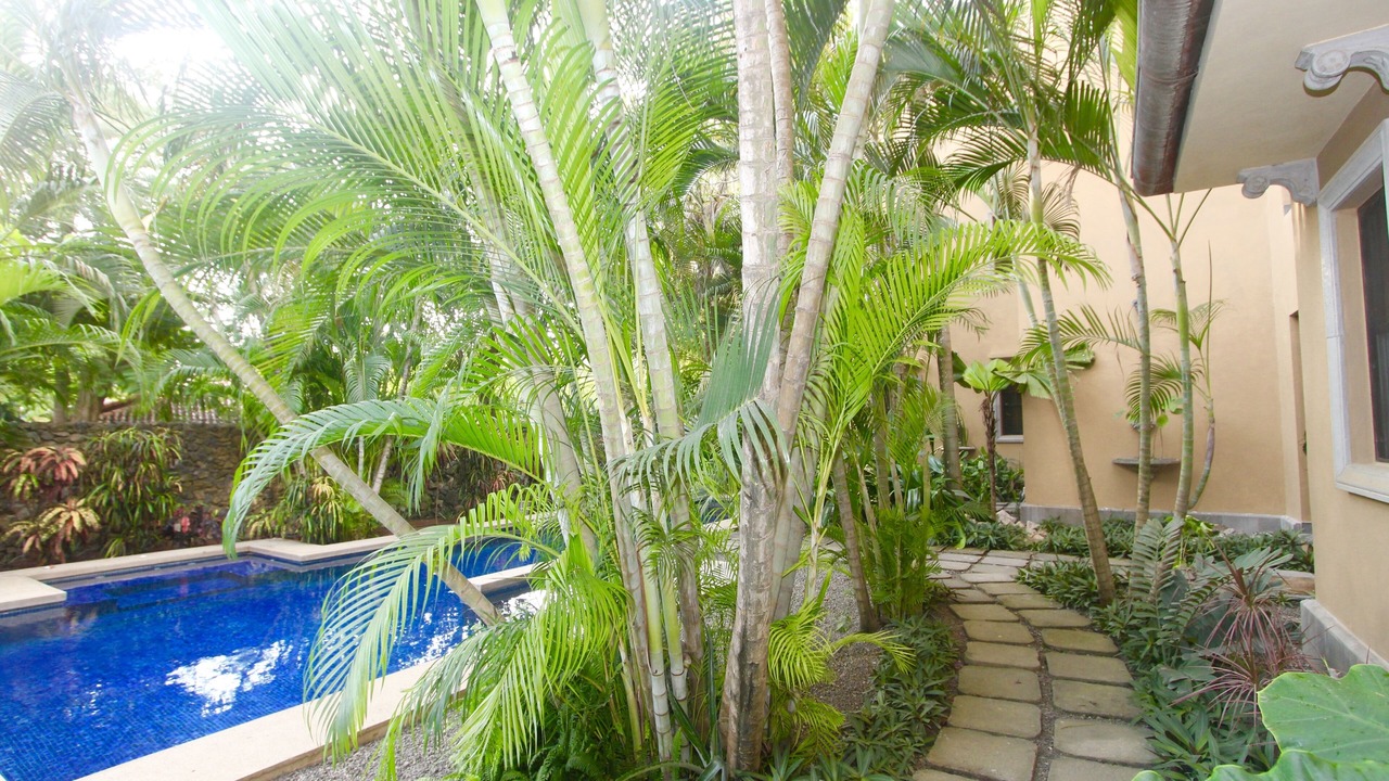 Photo of Outdoor in Playa Langosta