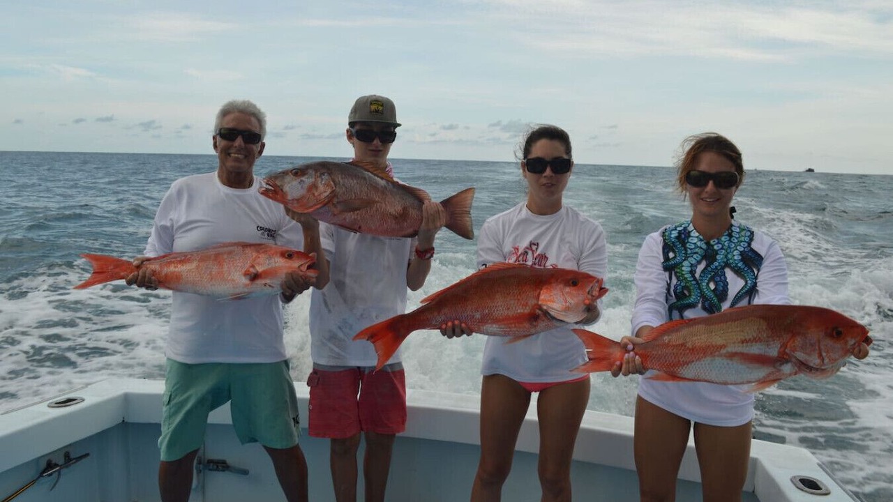 Photo of Others in Cabo Matapalo