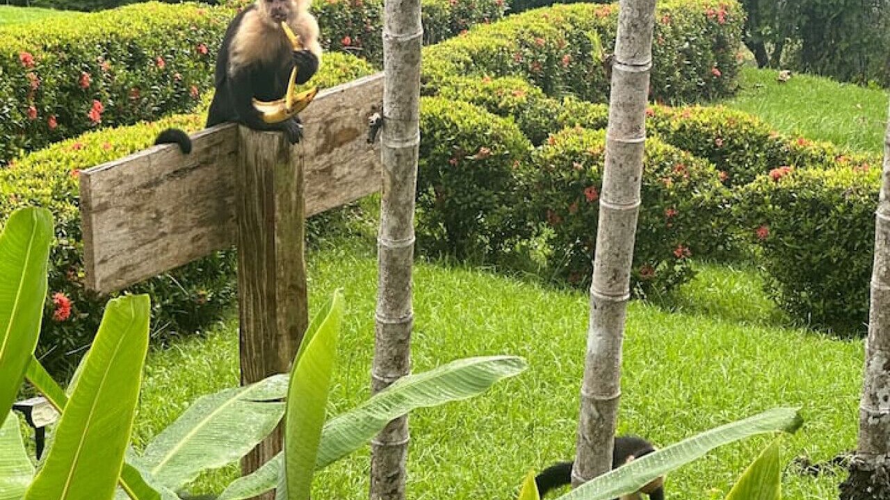 Photo of Outdoor in Cabo Matapalo